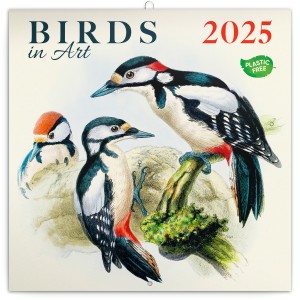 Lemeznaptr Birds in Art 2025, 30 x 30 cm (naptr)