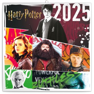 Lemeznaptr Harry Potter 2024, 30  30 cm (naptr)