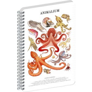 Spir�los Notesz Animalium ? Cephalopods, lined, A4