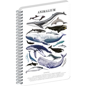 Spir�los Notesz Animalium ? Marine Life, lined, A4